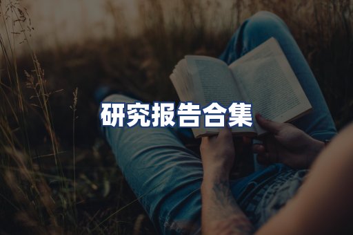 研究报告合集
